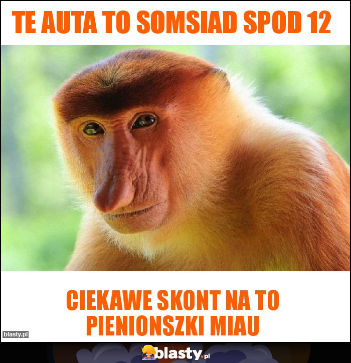 Te auta to somsiad spod 12