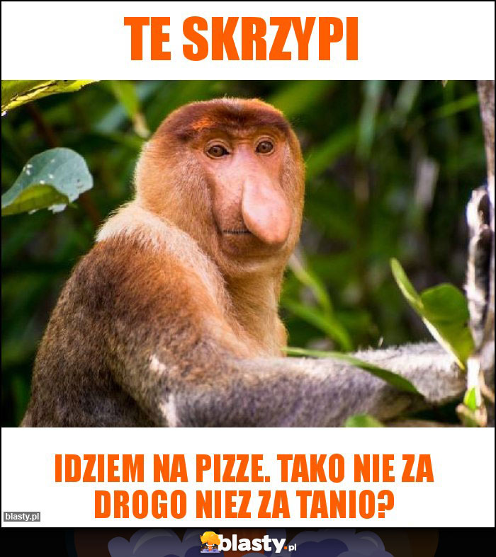 Te skrzypi