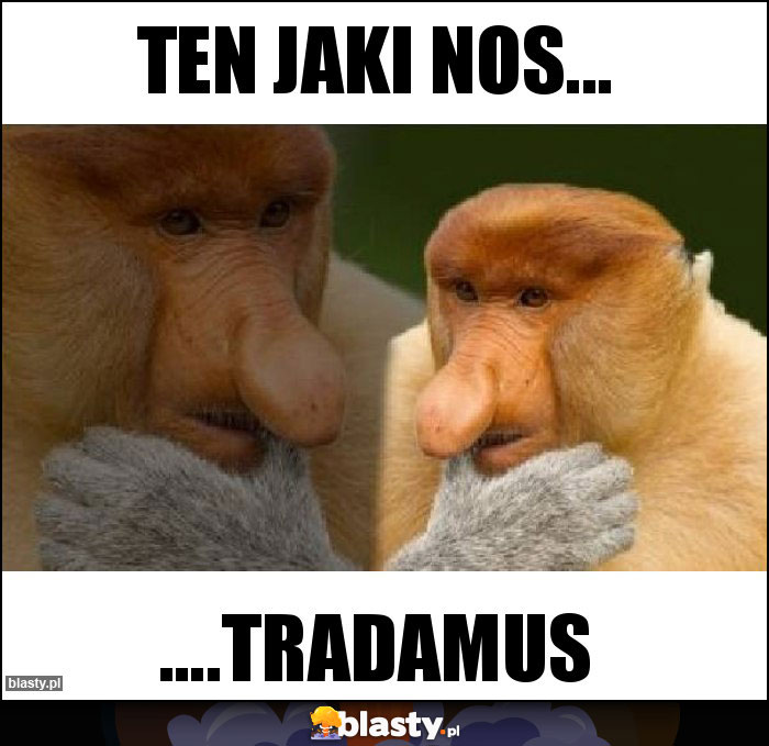 Ten jaki nos...