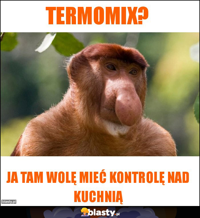 Termomix?