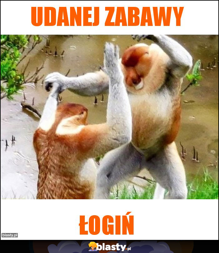 Udanej zabawy