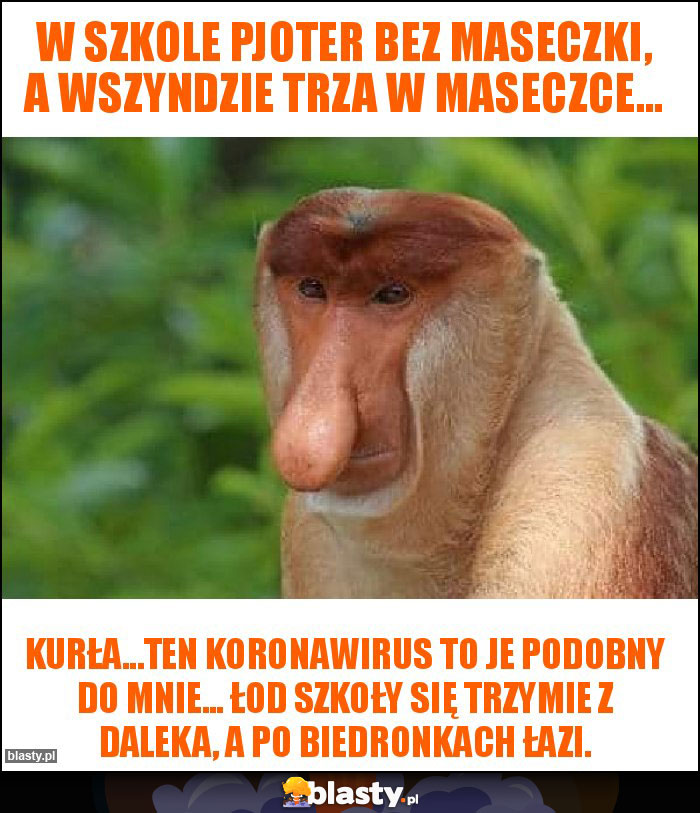 W szkole Pjoter bez maseczki, a wszyndzie trza w maseczce...