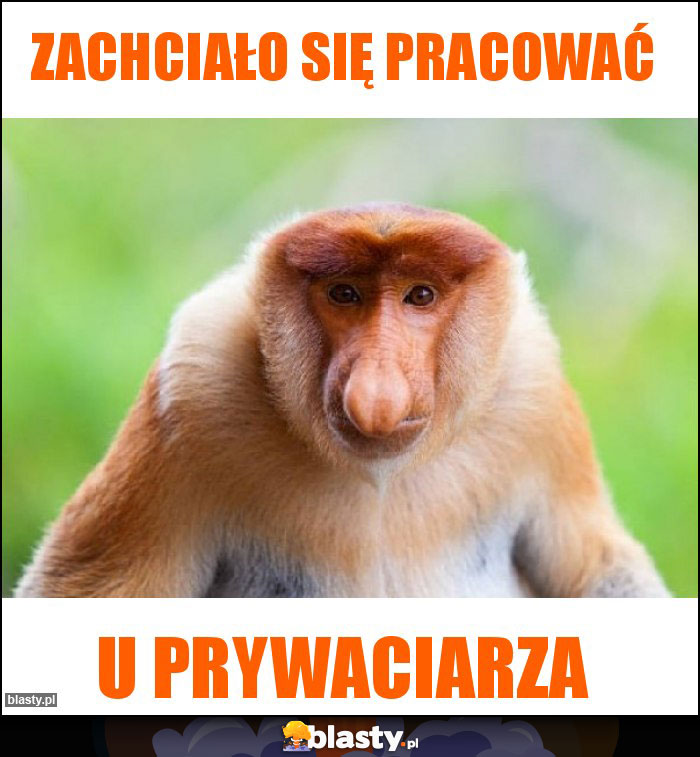 ZACHCIAŁO SIĘ PRACOWAĆ