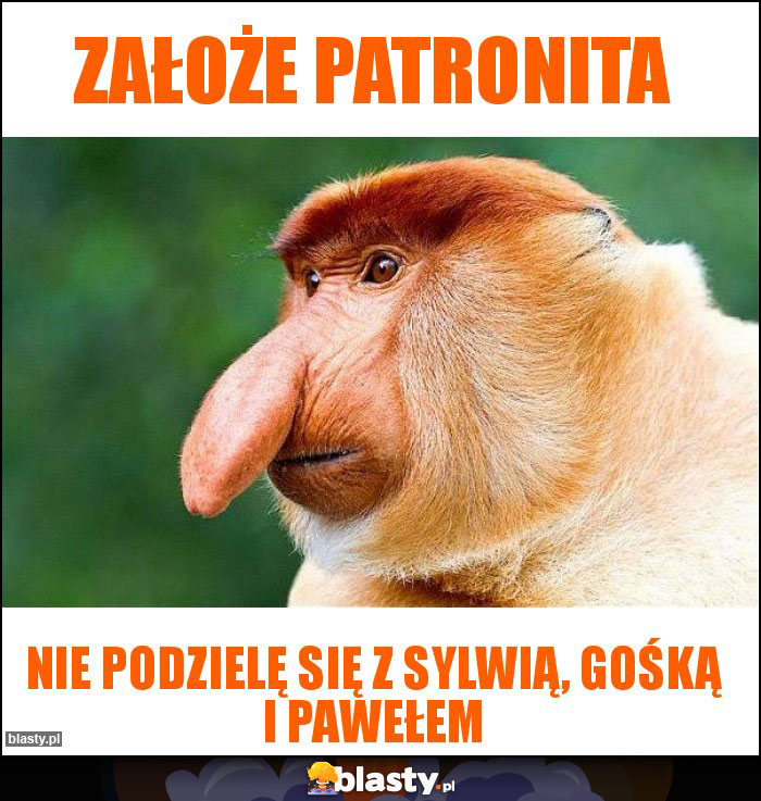 Założe patronita