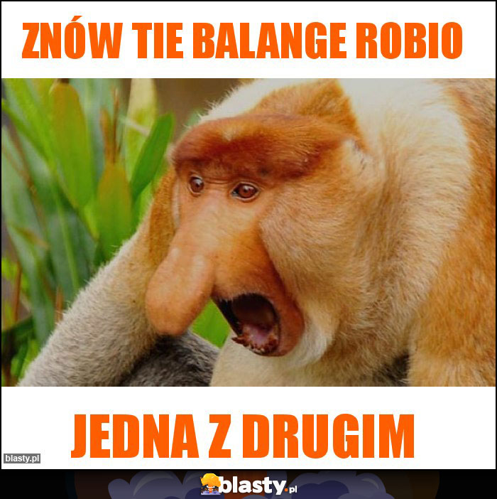 Znów tie balange robio