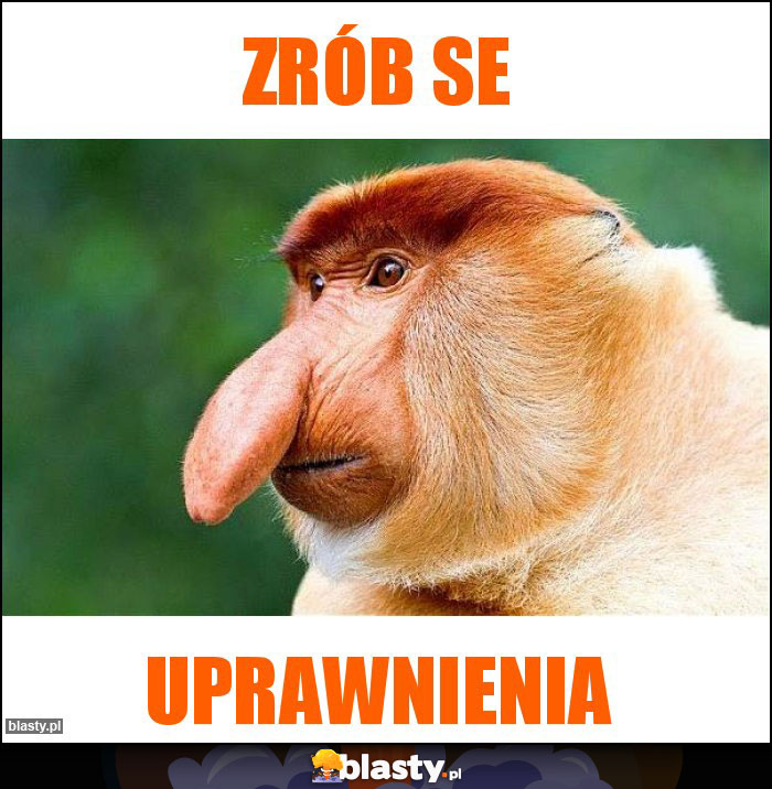 Zrób se