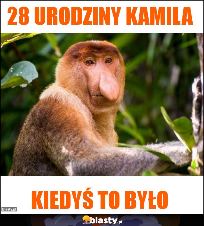 28 urodziny Kamila