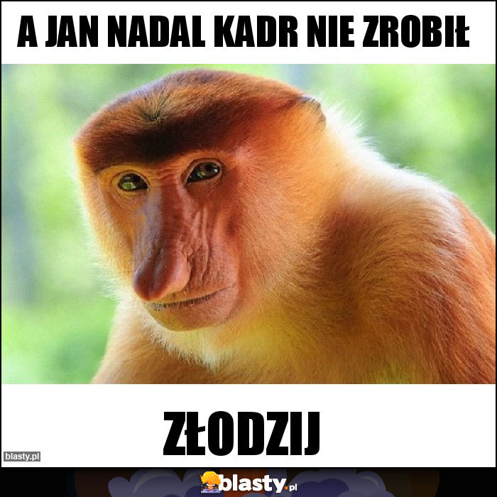 a Jan nadal kadr nie zrobił