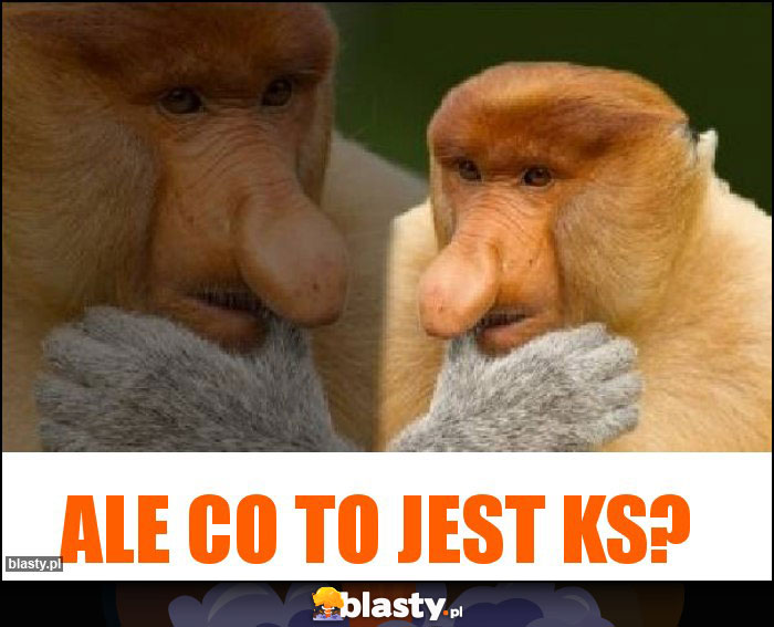 Ale co to jest ks?