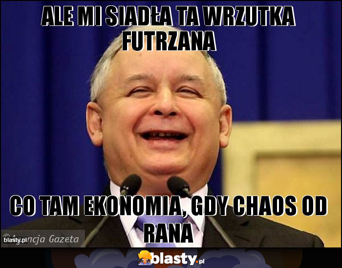 Ale mi siadła ta wrzutka futrzana