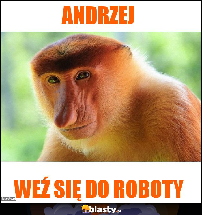 Andrzej