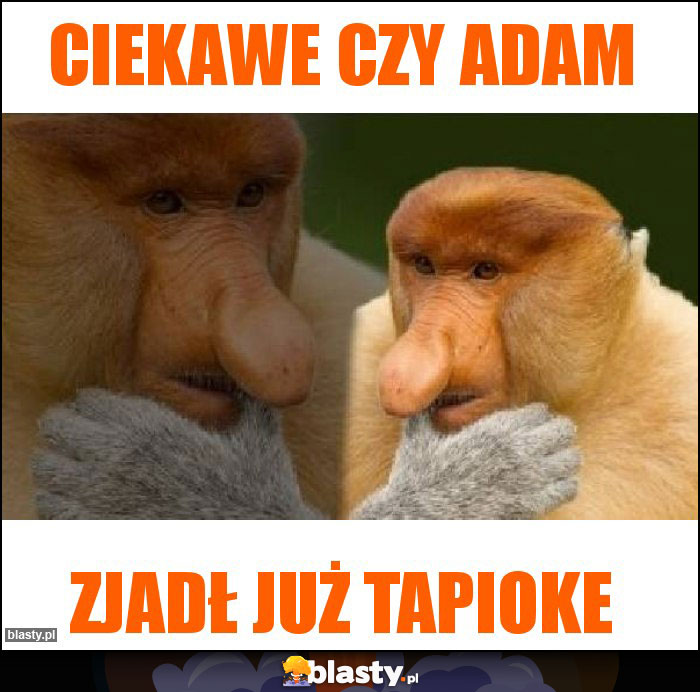 Ciekawe czy adam