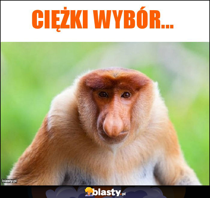 Ciężki wybór...