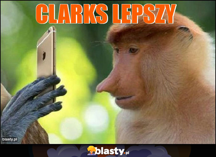 CLARKS LEPSZY