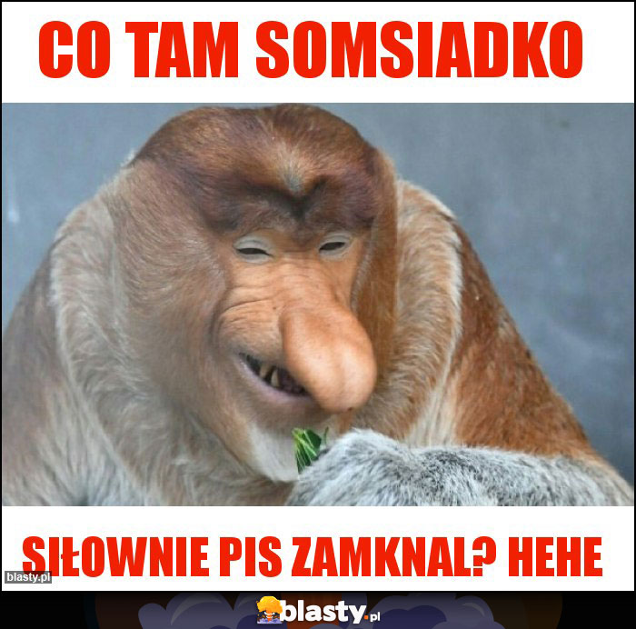 Co tam somsiadko