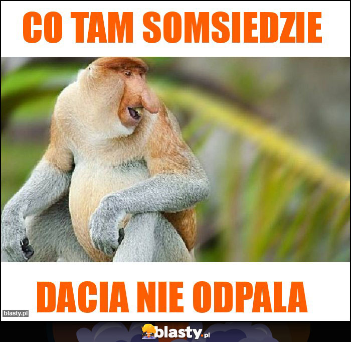 CO tam Somsiedzie