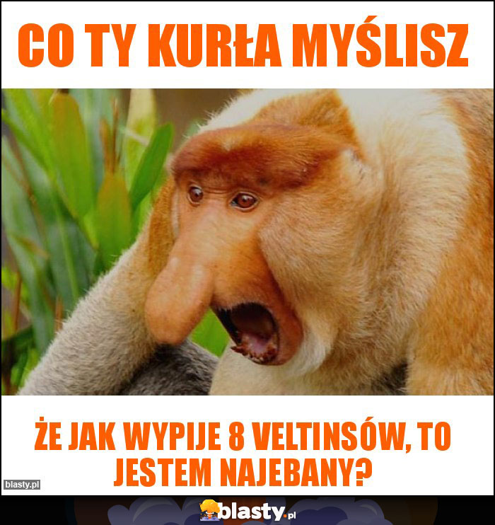 Co Ty kurła myślisz