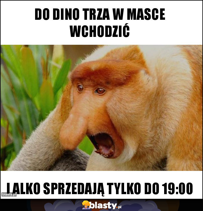 Do Dino trza w masce wchodzić