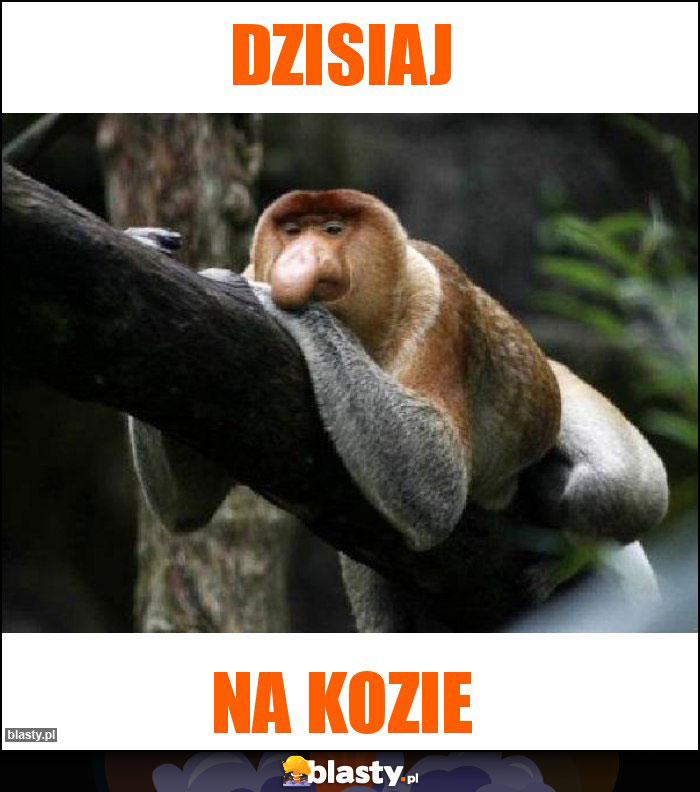 Dzisiaj