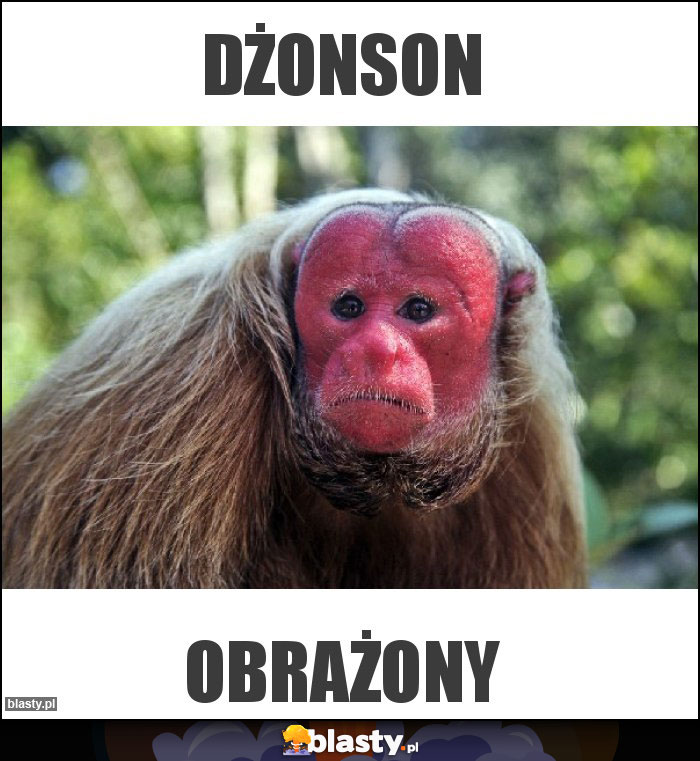 Dżonson