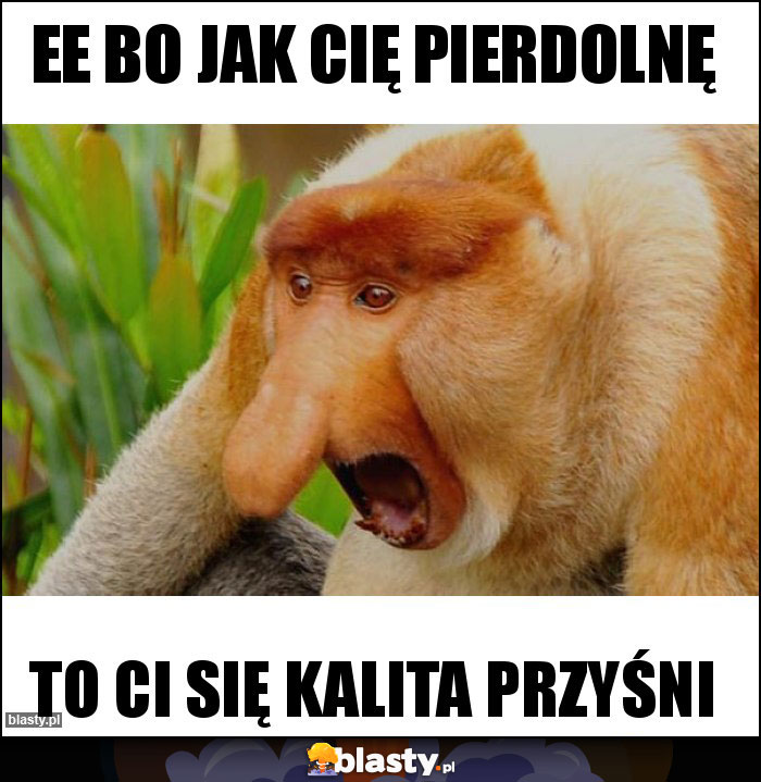 Ee bo jak cię pierdolnę