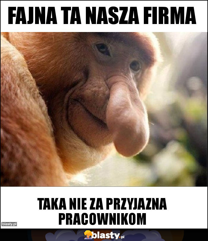 Fajna ta nasza firma