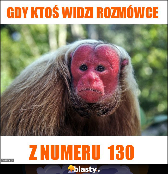 Gdy Ktoś Widzi rozmówce