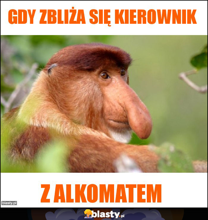 Gdy Zbliża się Kierownik