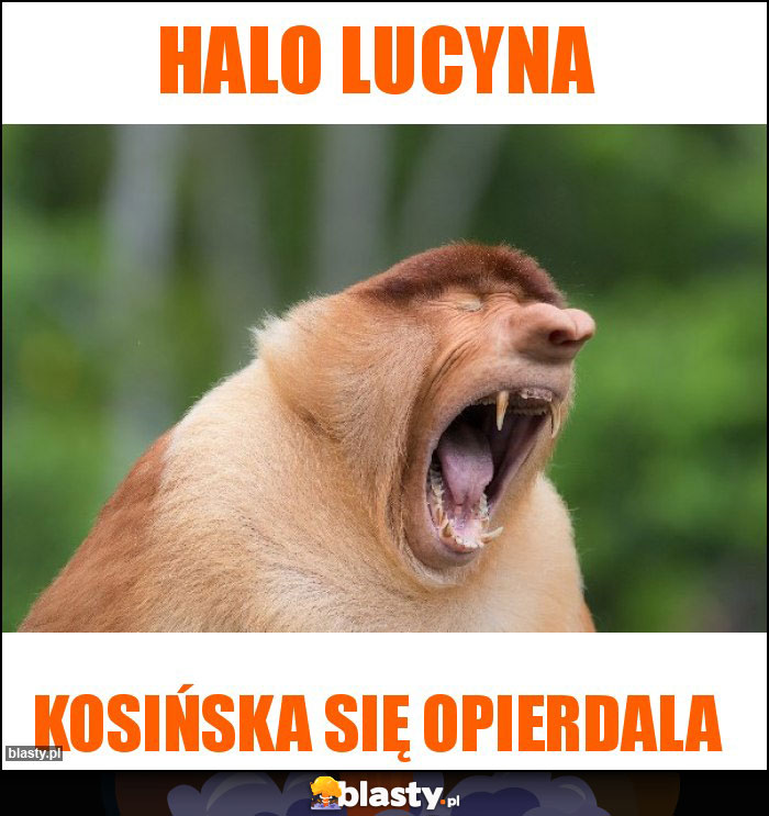 Halo Lucyna