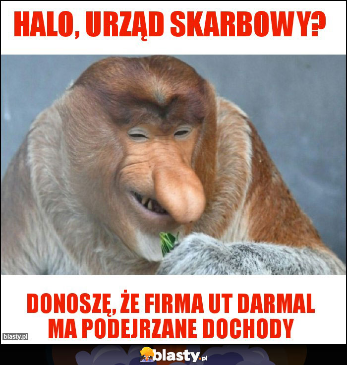 Halo, urząd skarbowy?