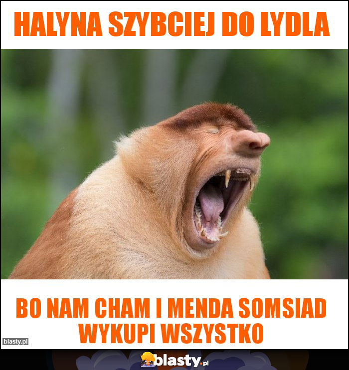 Halyna szybciej do lydla