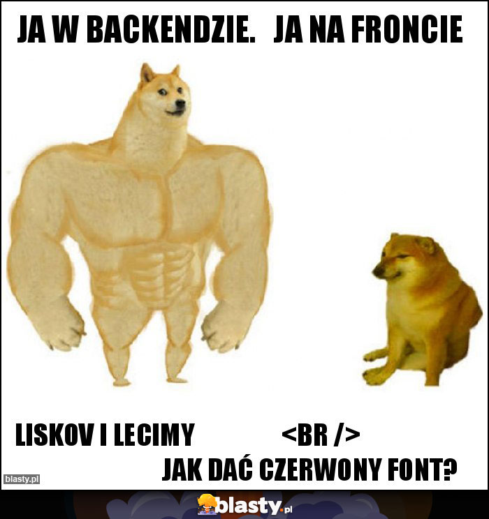 Ja w backendzie.   Ja na froncie