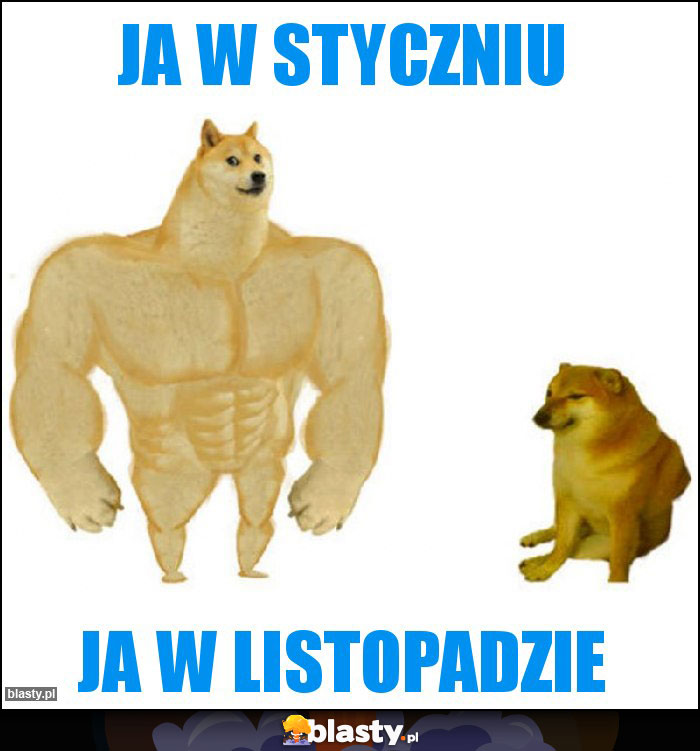 Ja w styczniu