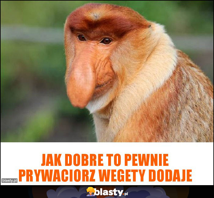 Jak dobre to pewnie prywaciorz wegety dodaje