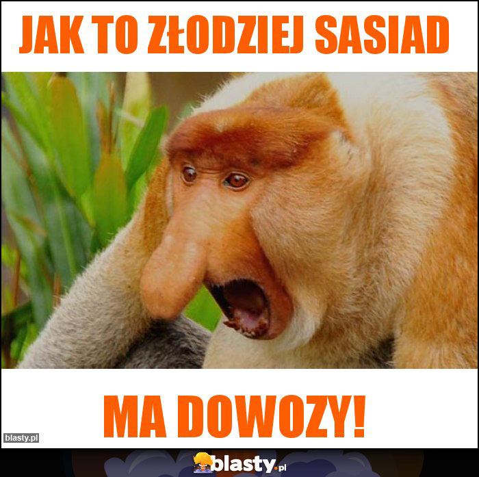 Jak to złodziej sasiad