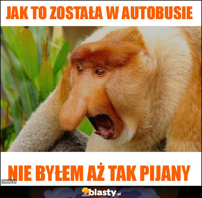 Jak to została w autobusie