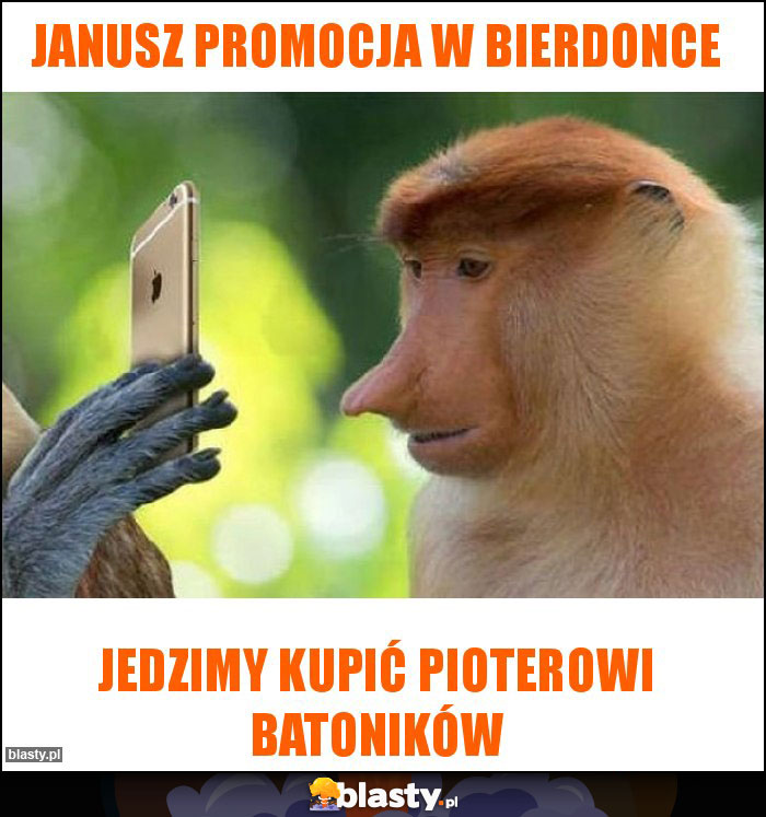 Janusz promocja w bierdonce