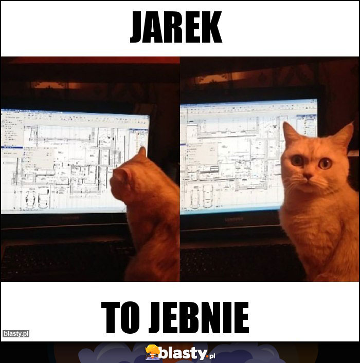 Jarek