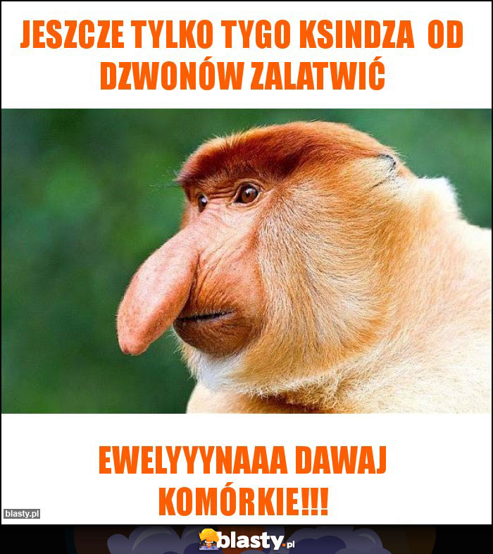 Jeszcze tylko tygo ksindza  od dzwonów zalatwić