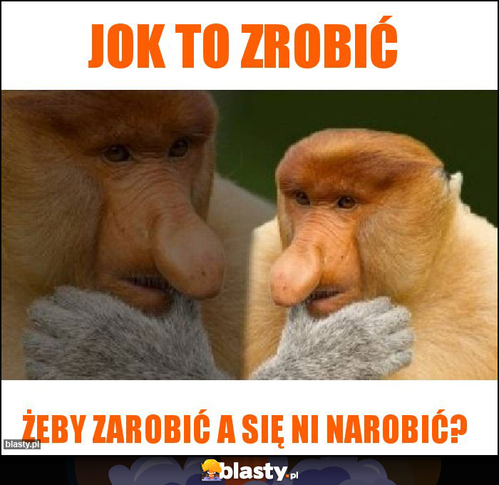 Jok to zrobić