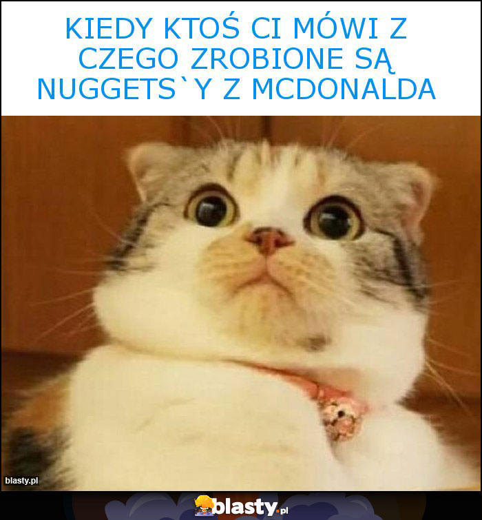 kiedy ktoś ci mówi z czego zrobione są nuggets`y z McDonalda