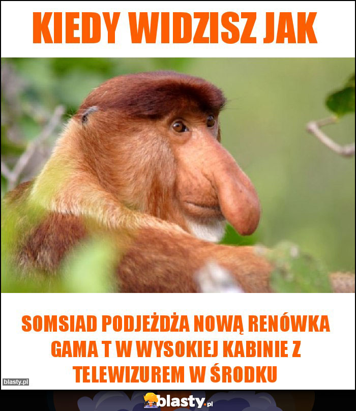 Kiedy widzisz jak