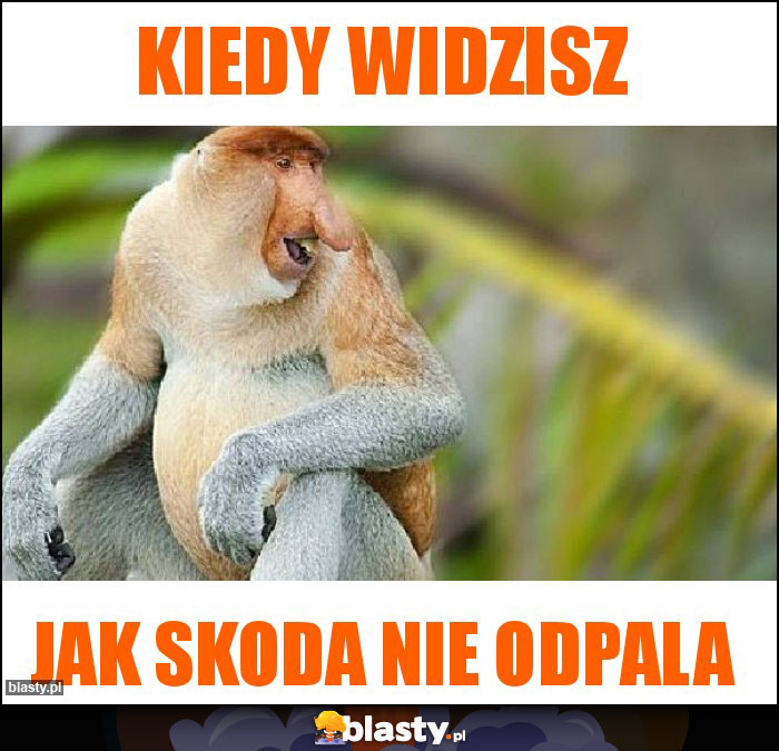 Kiedy Widzisz