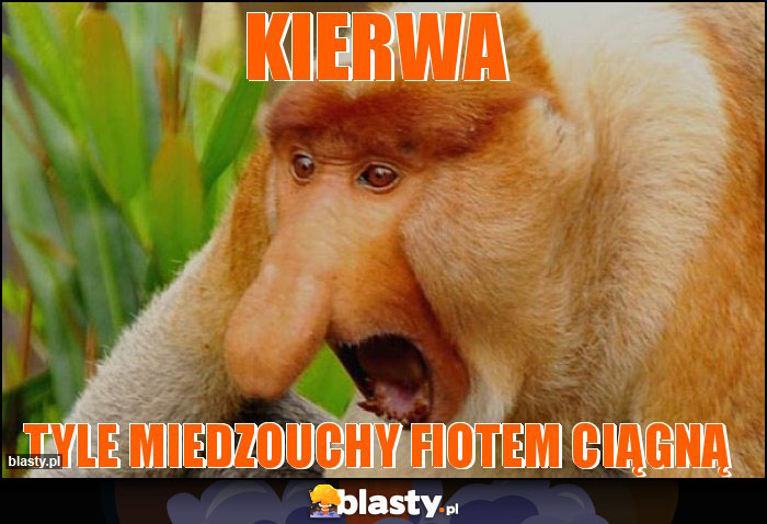 kierwa