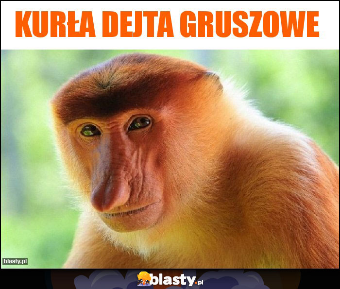 Kurła dejta gruszowe