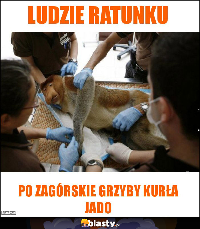 Ludzie ratunku