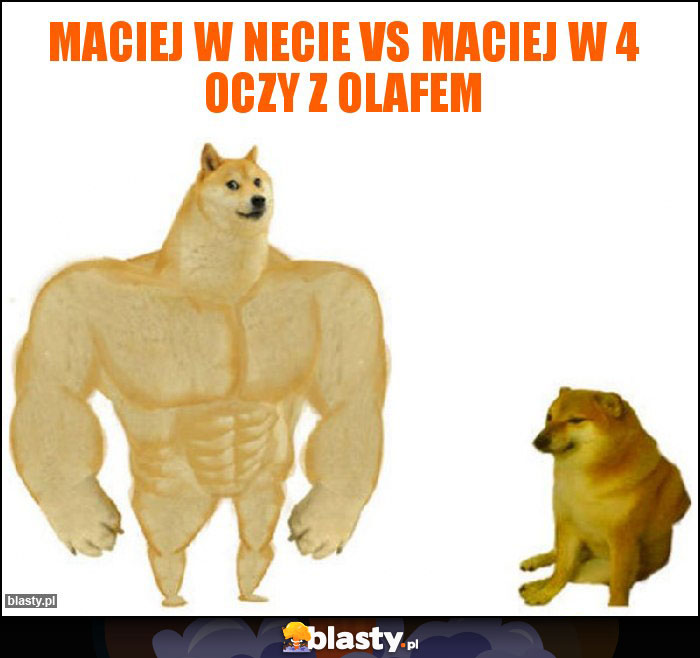 Maciej w necie vs Maciej w 4 oczy z Olafem