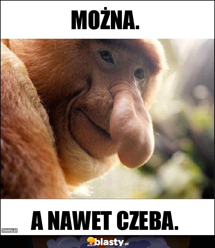 Można.