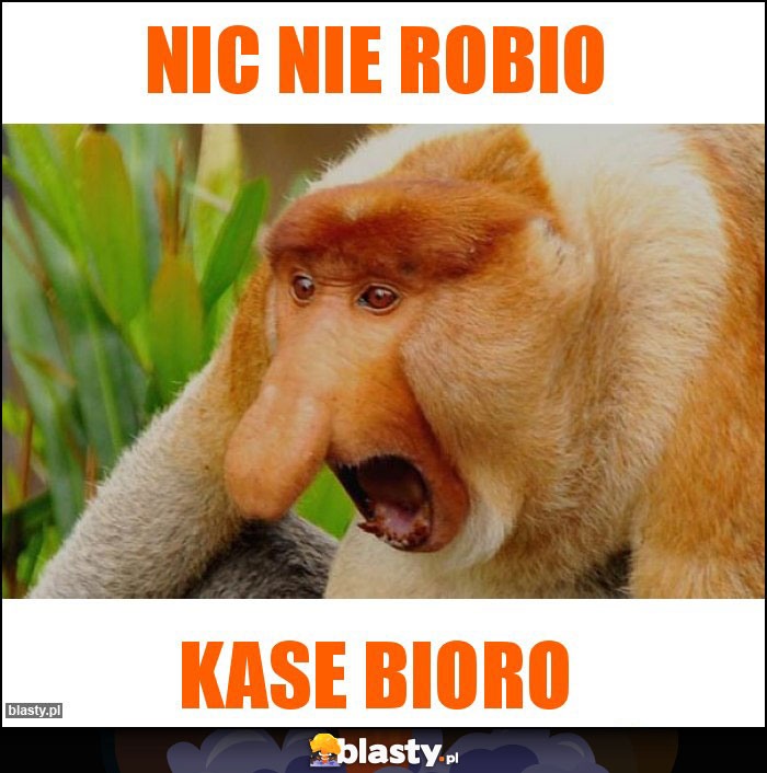 NIC NIE ROBIO