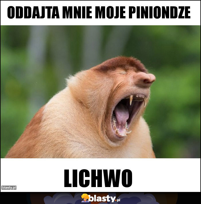 ODDAJTA MNIE MOJE PINIONDZE